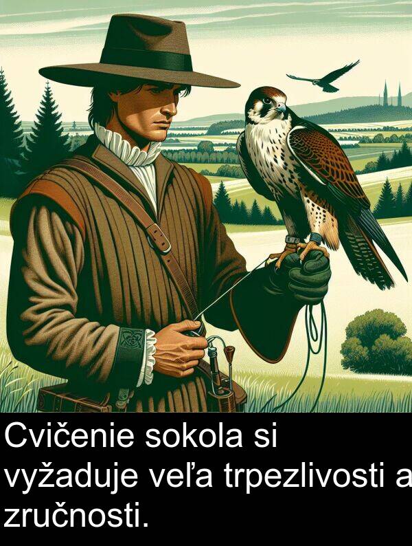 veľa: Cvičenie sokola si vyžaduje veľa trpezlivosti a zručnosti.