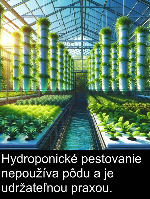 praxou: Hydroponické pestovanie nepoužíva pôdu a je udržateľnou praxou.
