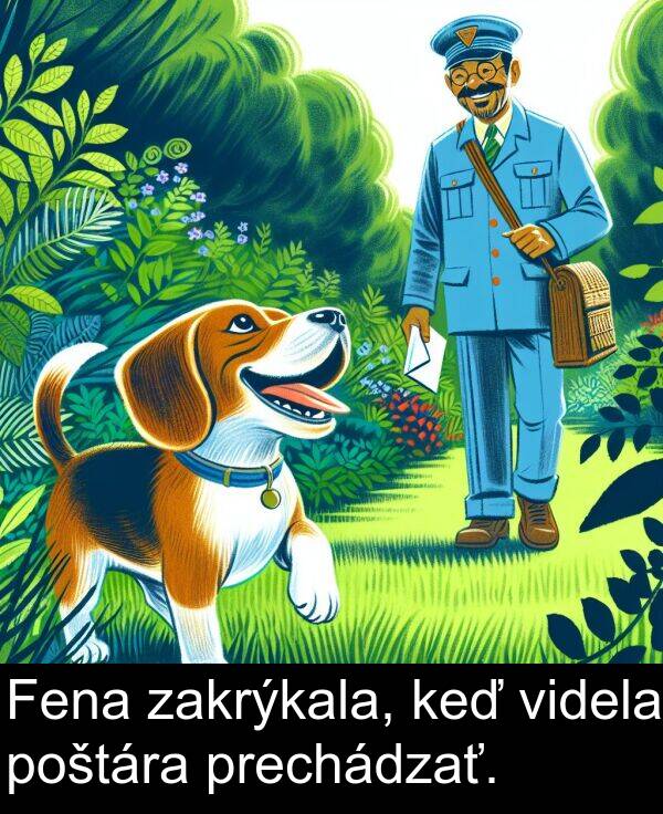 zakrýkala: Fena zakrýkala, keď videla poštára prechádzať.
