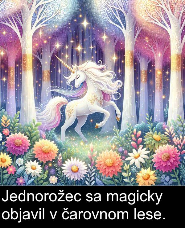 čarovnom: Jednorožec sa magicky objavil v čarovnom lese.