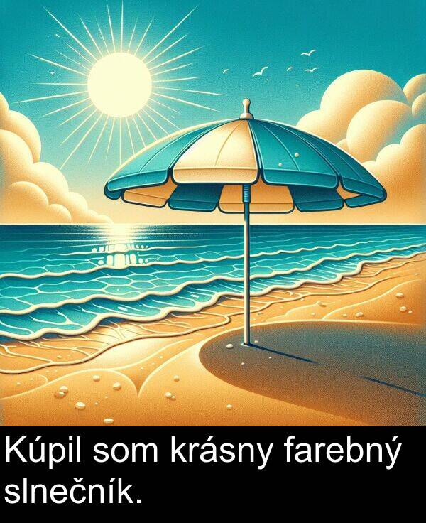 farebný: Kúpil som krásny farebný slnečník.