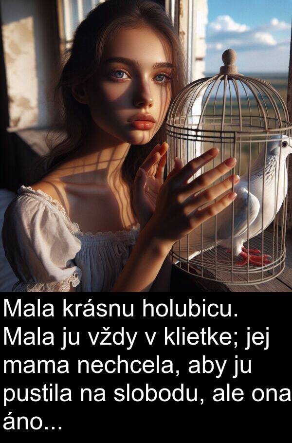 slobodu: Mala krásnu holubicu. Mala ju vždy v klietke; jej mama nechcela, aby ju pustila na slobodu, ale ona áno...