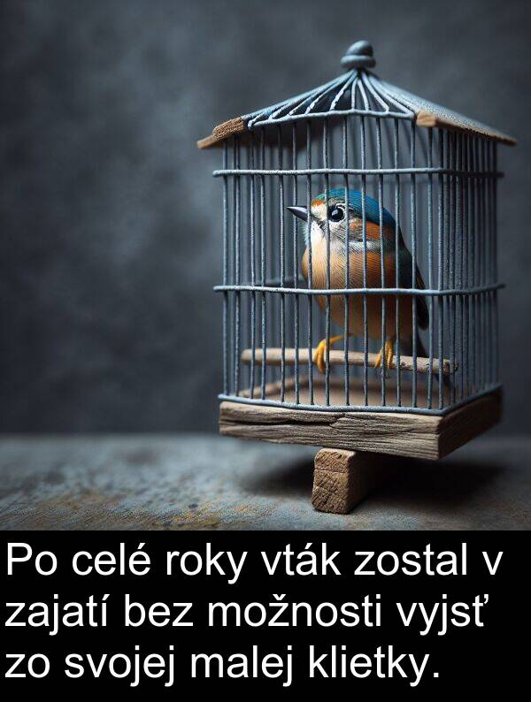 celé: Po celé roky vták zostal v zajatí bez možnosti vyjsť zo svojej malej klietky.