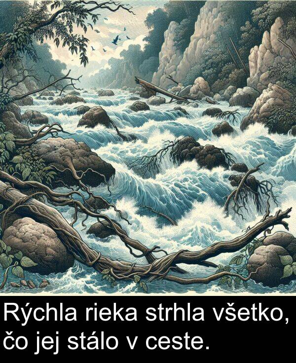 ceste: Rýchla rieka strhla všetko, čo jej stálo v ceste.