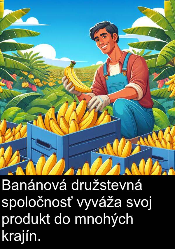 vyváža: Banánová družstevná spoločnosť vyváža svoj produkt do mnohých krajín.