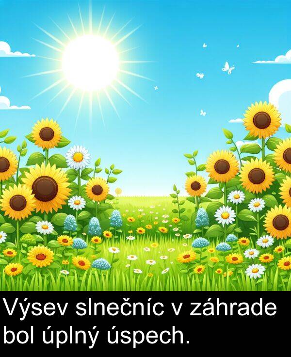 bol: Výsev slnečníc v záhrade bol úplný úspech.