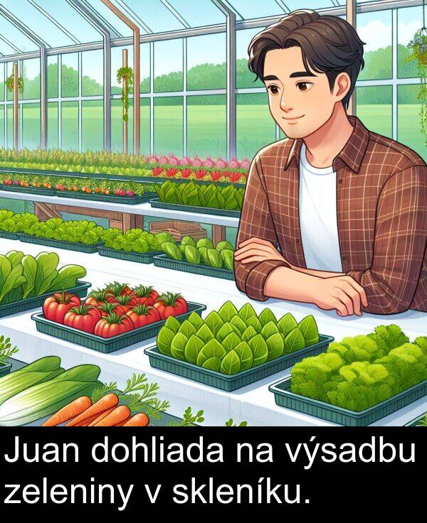 výsadbu: Juan dohliada na výsadbu zeleniny v skleníku.