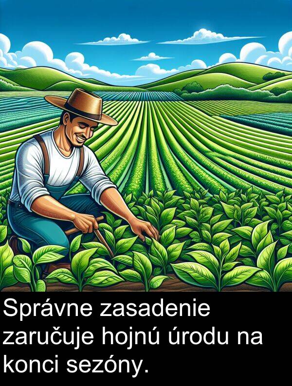 konci: Správne zasadenie zaručuje hojnú úrodu na konci sezóny.