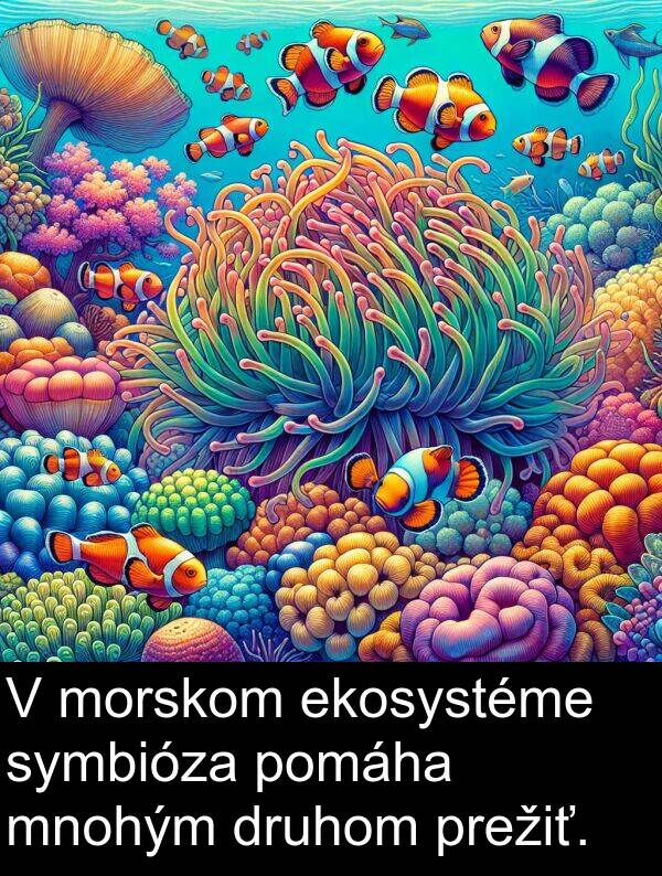 ekosystéme: V morskom ekosystéme symbióza pomáha mnohým druhom prežiť.