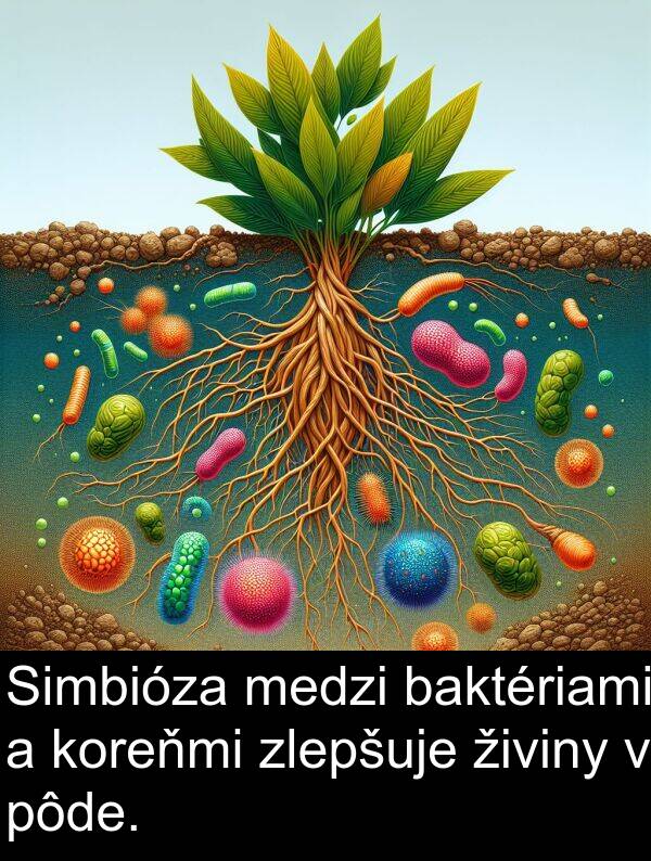 baktériami: Simbióza medzi baktériami a koreňmi zlepšuje živiny v pôde.