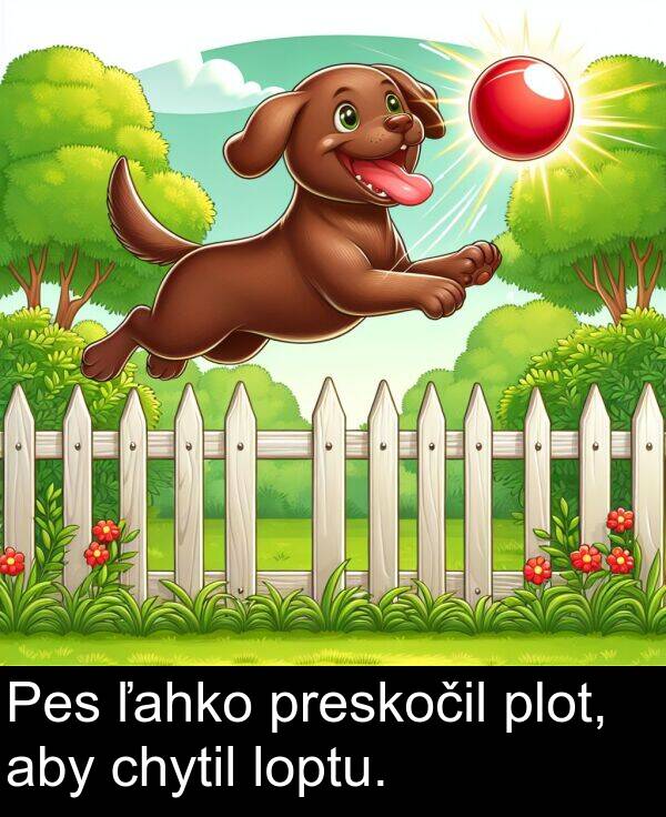 ľahko: Pes ľahko preskočil plot, aby chytil loptu.