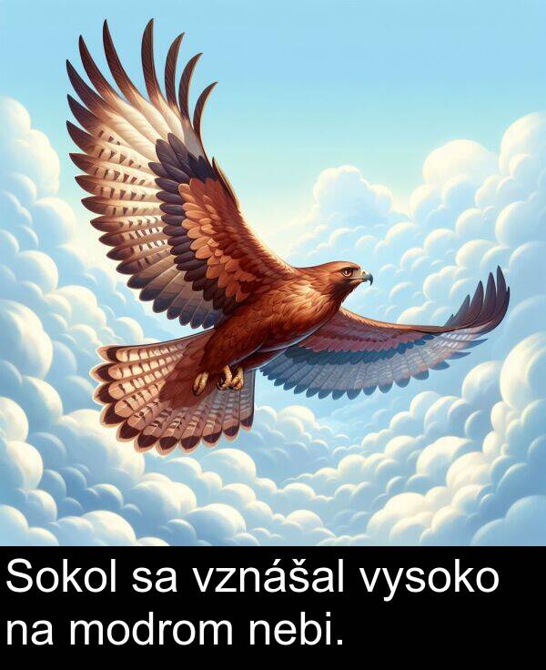 vysoko: Sokol sa vznášal vysoko na modrom nebi.