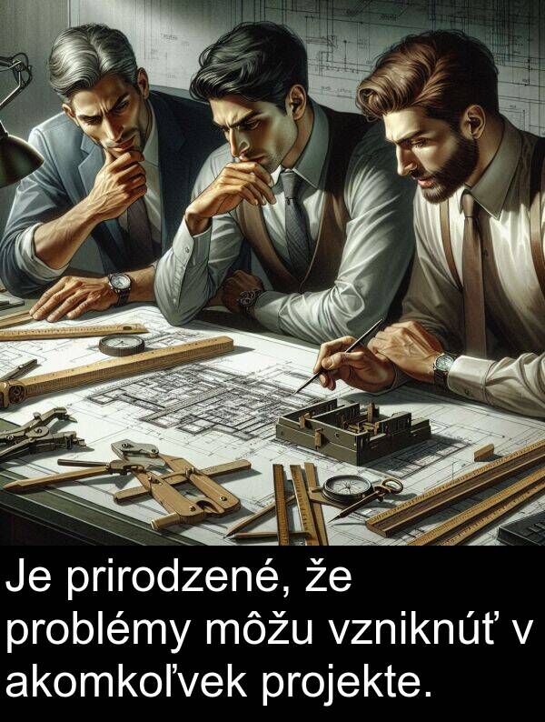 akomkoľvek: Je prirodzené, že problémy môžu vzniknúť v akomkoľvek projekte.