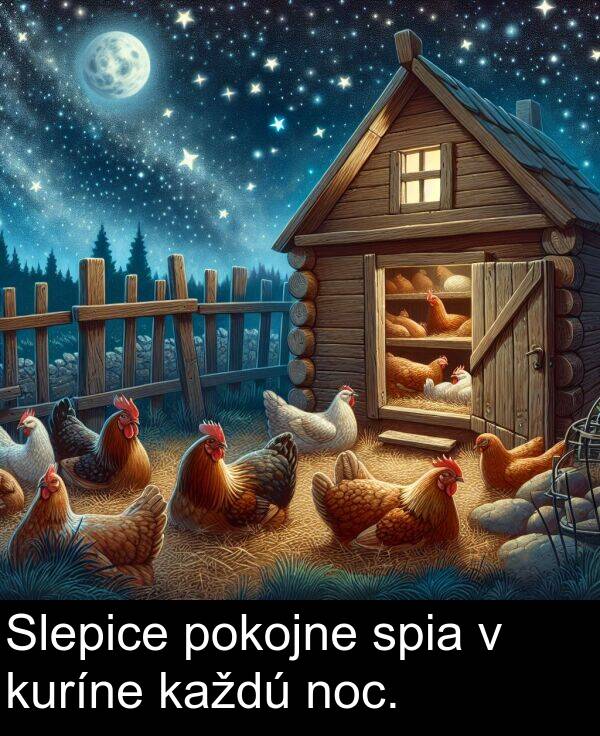 noc: Slepice pokojne spia v kuríne každú noc.