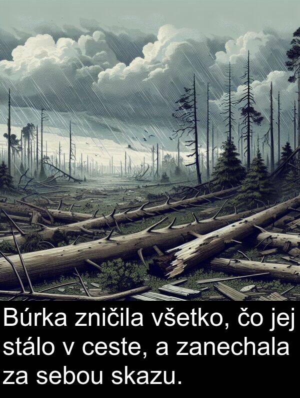 ceste: Búrka zničila všetko, čo jej stálo v ceste, a zanechala za sebou skazu.