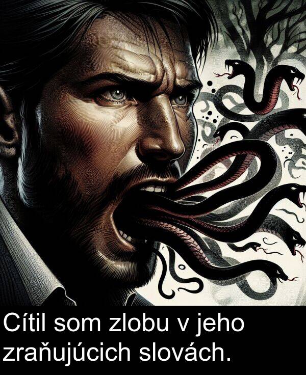 slovách: Cítil som zlobu v jeho zraňujúcich slovách.