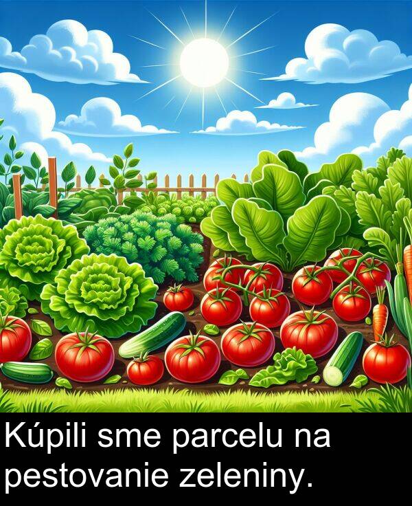 sme: Kúpili sme parcelu na pestovanie zeleniny.