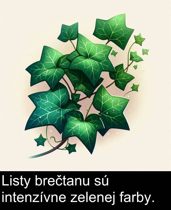 brečtanu: Listy brečtanu sú intenzívne zelenej farby.