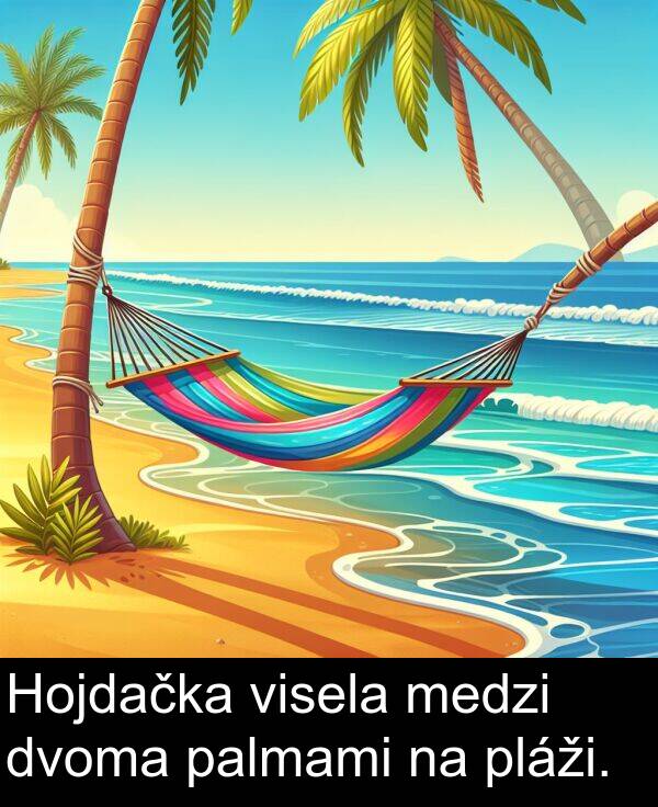 visela: Hojdačka visela medzi dvoma palmami na pláži.