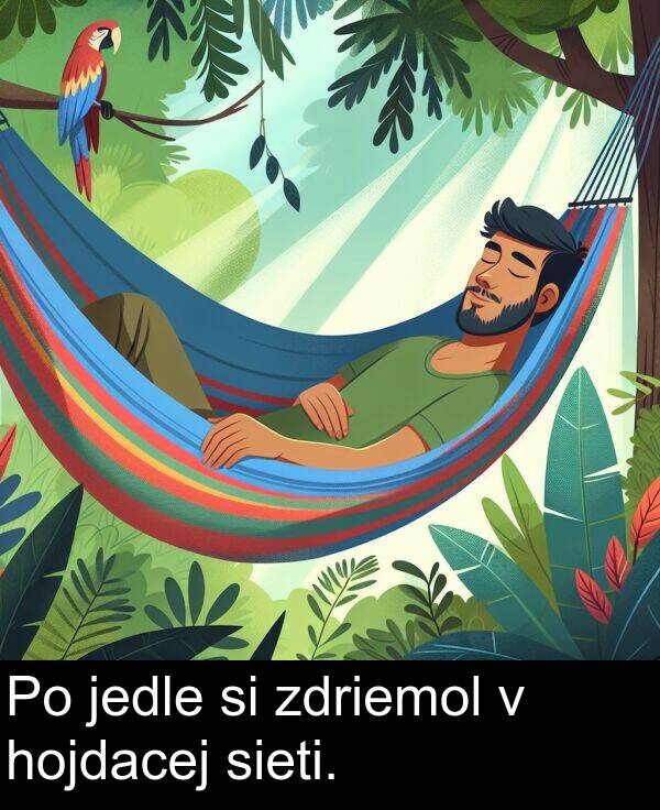 jedle: Po jedle si zdriemol v hojdacej sieti.