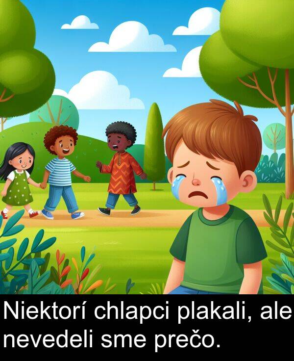 sme: Niektorí chlapci plakali, ale nevedeli sme prečo.