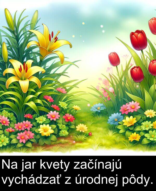 jar: Na jar kvety začínajú vychádzať z úrodnej pôdy.