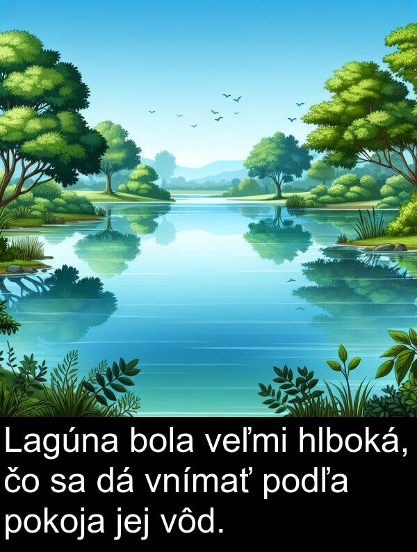 vnímať: Lagúna bola veľmi hlboká, čo sa dá vnímať podľa pokoja jej vôd.