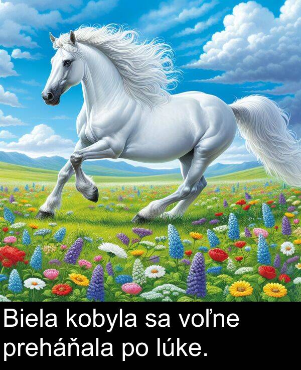voľne: Biela kobyla sa voľne preháňala po lúke.