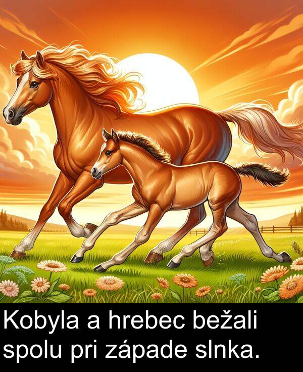 slnka: Kobyla a hrebec bežali spolu pri západe slnka.