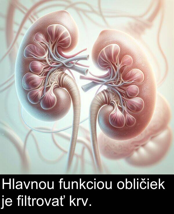 filtrovať: Hlavnou funkciou obličiek je filtrovať krv.