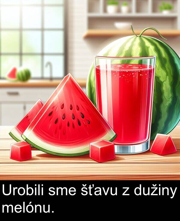 sme: Urobili sme šťavu z dužiny melónu.
