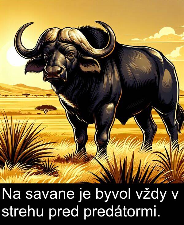 pred: Na savane je byvol vždy v strehu pred predátormi.