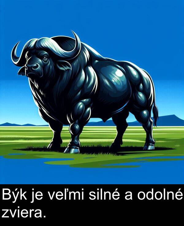 silné: Býk je veľmi silné a odolné zviera.