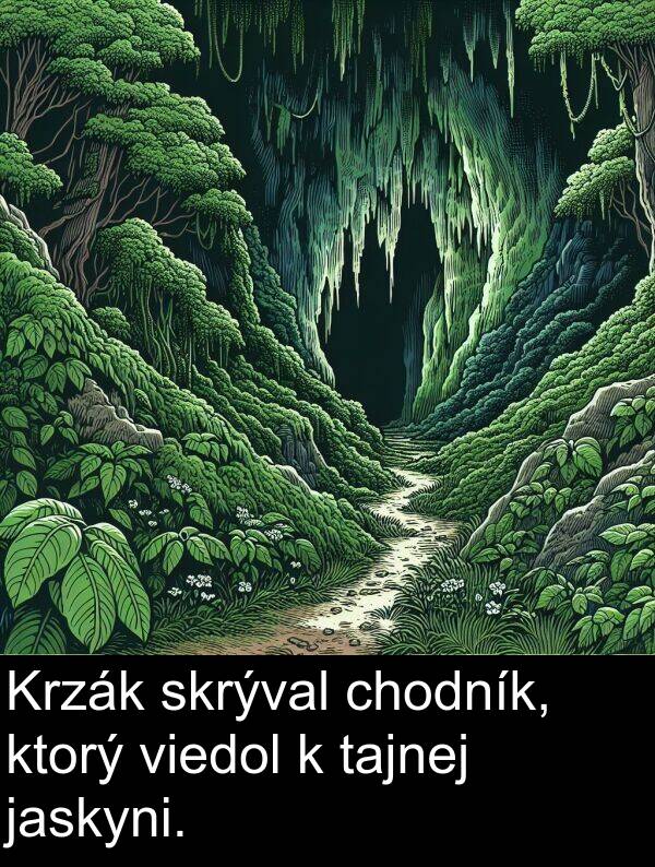 skrýval: Krzák skrýval chodník, ktorý viedol k tajnej jaskyni.
