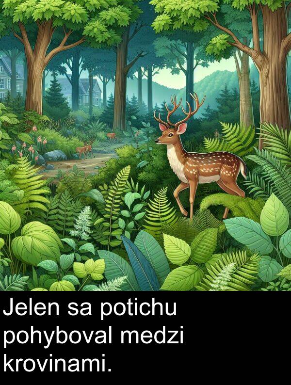 krovinami: Jelen sa potichu pohyboval medzi krovinami.