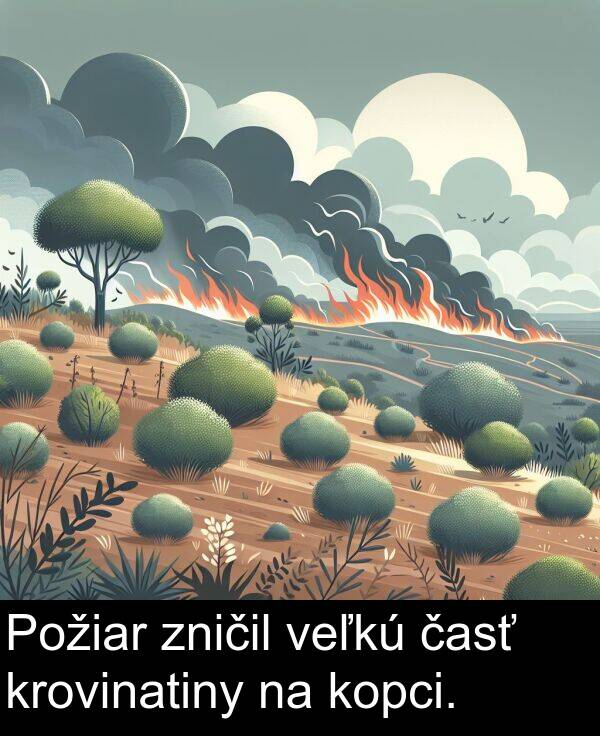 časť: Požiar zničil veľkú časť krovinatiny na kopci.