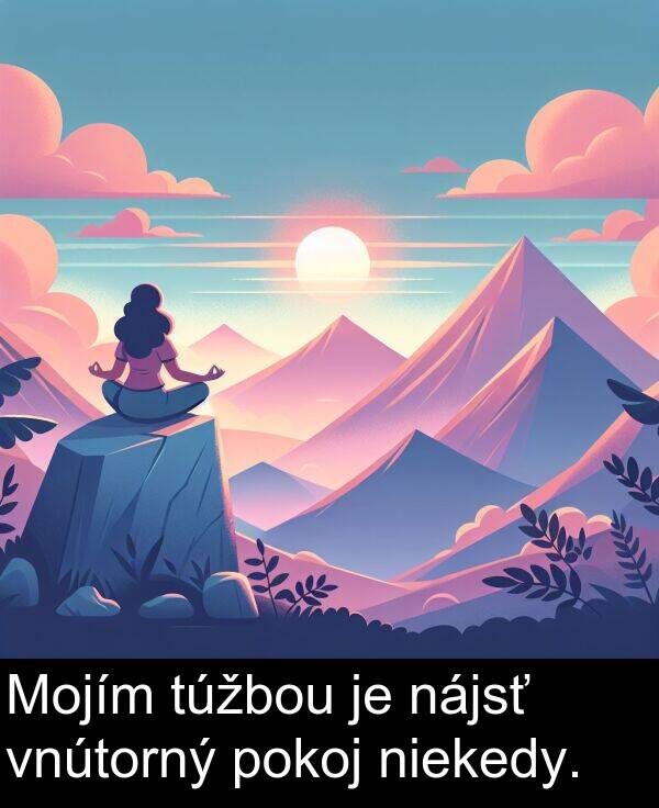 vnútorný: Mojím túžbou je nájsť vnútorný pokoj niekedy.