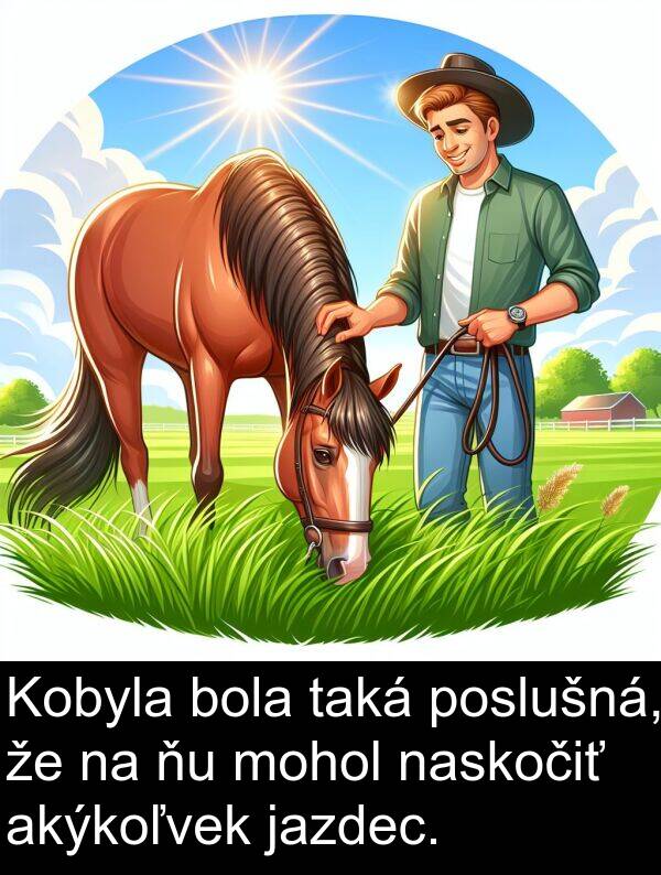 naskočiť: Kobyla bola taká poslušná, že na ňu mohol naskočiť akýkoľvek jazdec.