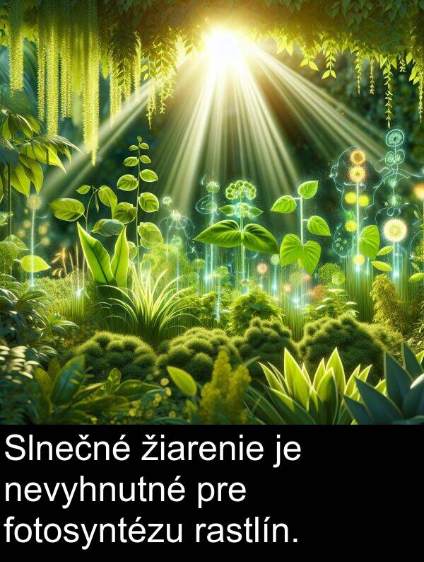 fotosyntézu: Slnečné žiarenie je nevyhnutné pre fotosyntézu rastlín.