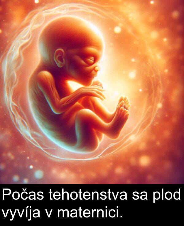 vyvíja: Počas tehotenstva sa plod vyvíja v maternici.