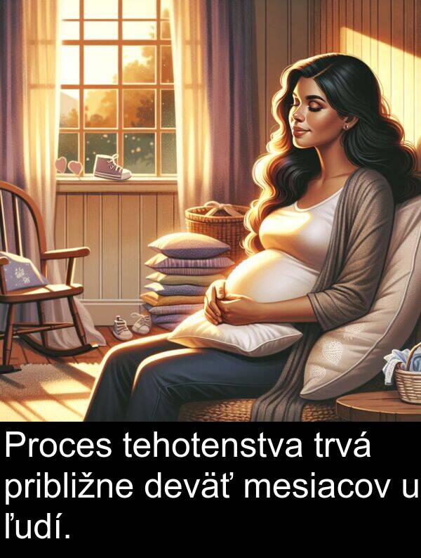ľudí: Proces tehotenstva trvá približne deväť mesiacov u ľudí.
