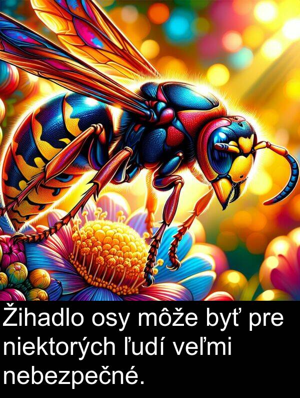 niektorých: Žihadlo osy môže byť pre niektorých ľudí veľmi nebezpečné.