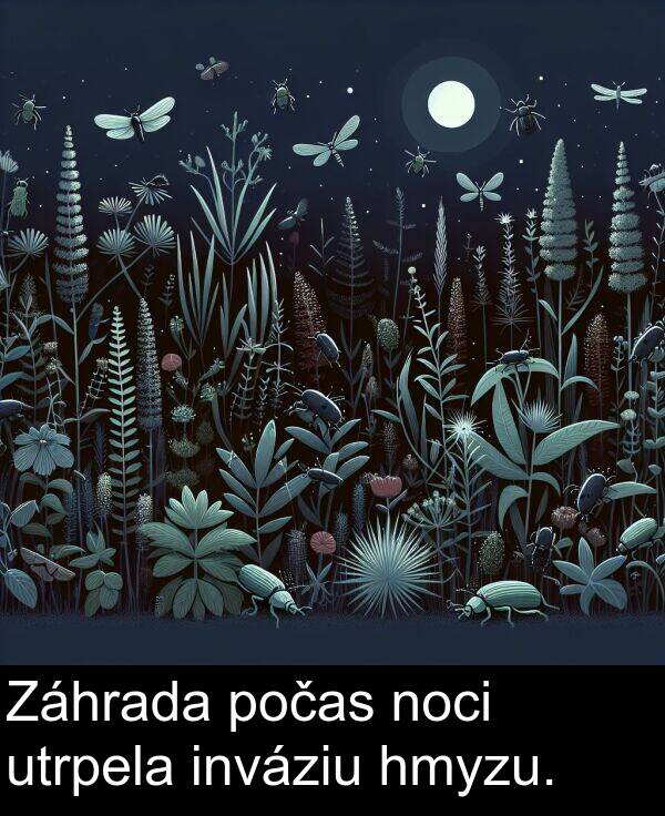 noci: Záhrada počas noci utrpela inváziu hmyzu.