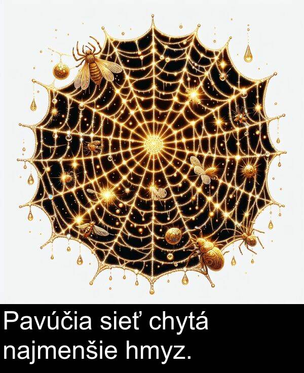 sieť: Pavúčia sieť chytá najmenšie hmyz.