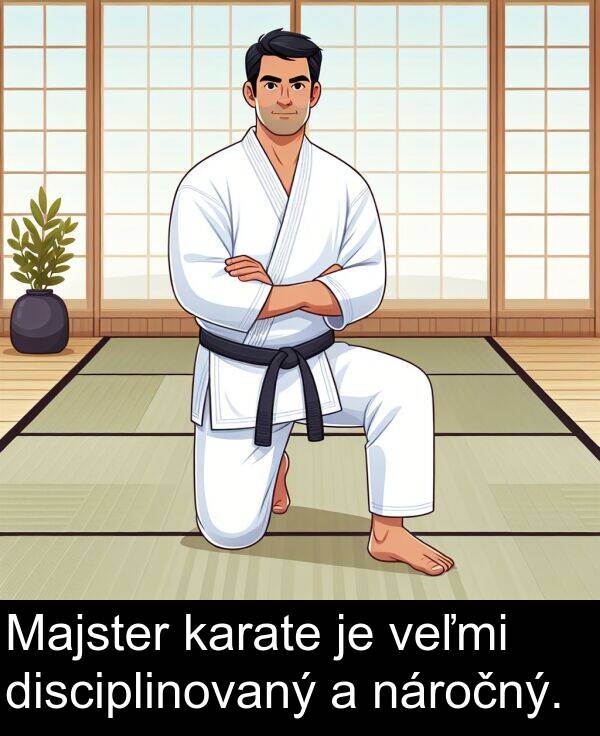 karate: Majster karate je veľmi disciplinovaný a náročný.