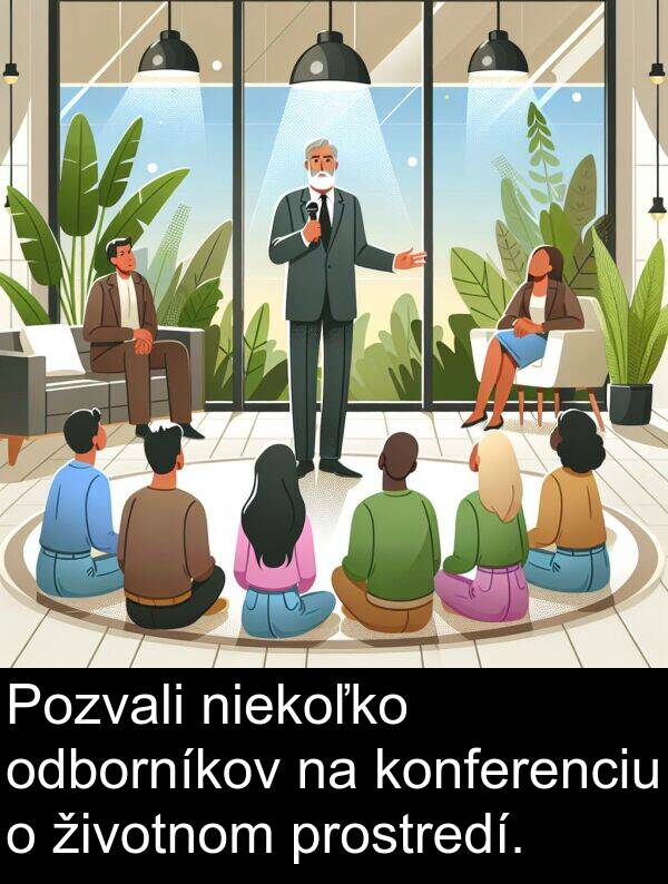 niekoľko: Pozvali niekoľko odborníkov na konferenciu o životnom prostredí.
