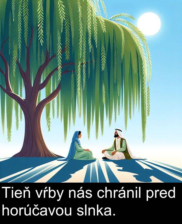 vŕby: Tieň vŕby nás chránil pred horúčavou slnka.