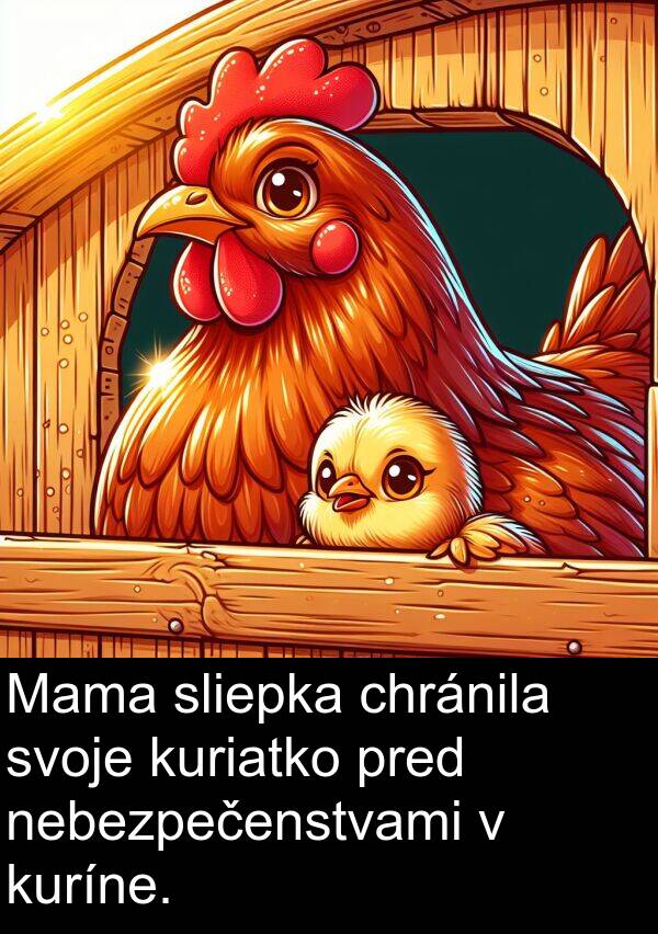 kuriatko: Mama sliepka chránila svoje kuriatko pred nebezpečenstvami v kuríne.