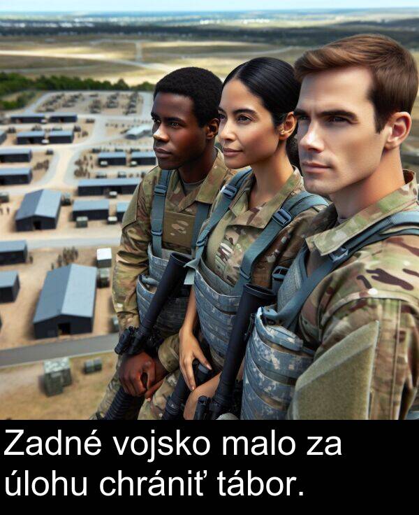 vojsko: Zadné vojsko malo za úlohu chrániť tábor.