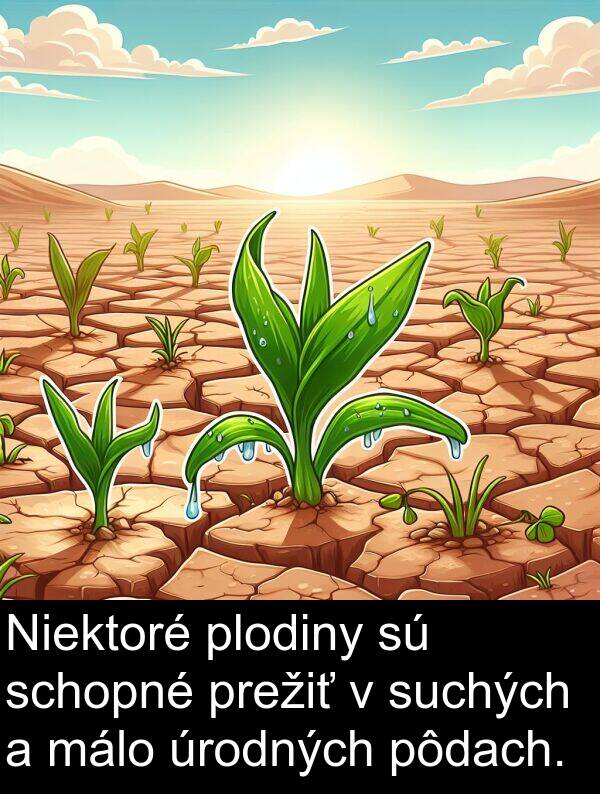schopné: Niektoré plodiny sú schopné prežiť v suchých a málo úrodných pôdach.
